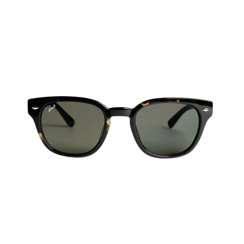 SunStrider Shades